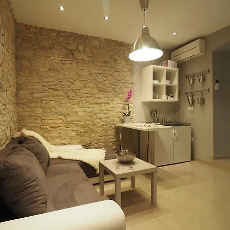 Snjezana Colosseum Apartment Pula